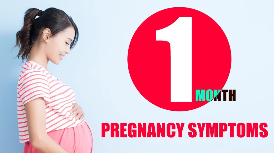 first month of pregnancy first month of pregnancy