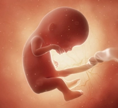 12 weeks pregnant belly