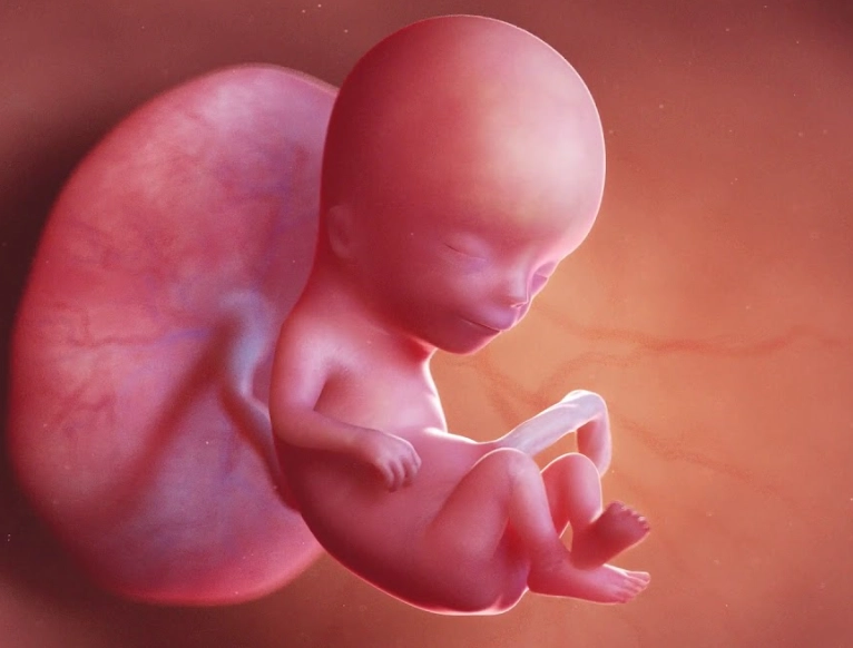 12 weeks pregnant signs