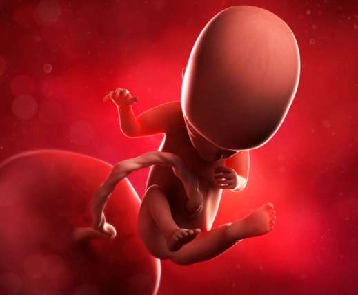 can you feel the baby at 12 weeks can you feel the baby at 12 weeks