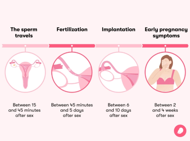best pregnancy test for early detection