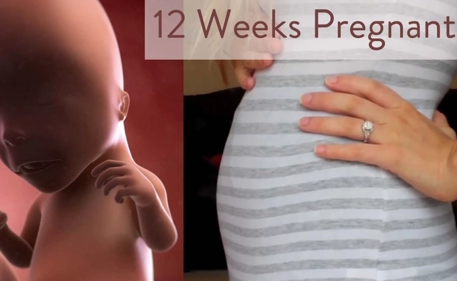 12 weeks pregnant 3 months