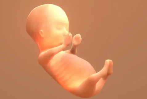 12 weeks pregnant 3 months