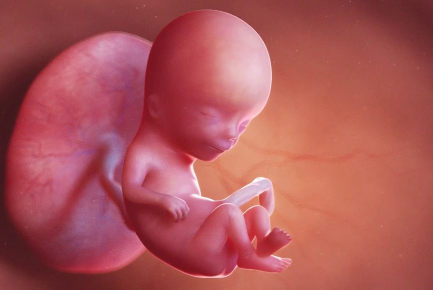 pregnant belly at 12 weeks