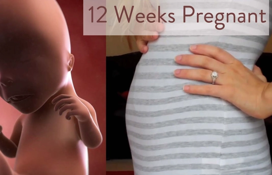 pregnant belly at 12 weeks
