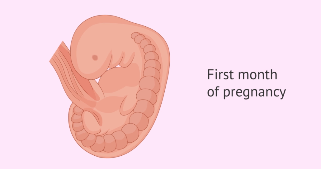 early signs of pregnancy early signs of pregnancy