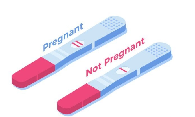 positive pregnancy test lines