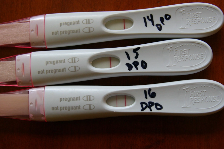 how to use pregnancy test kit