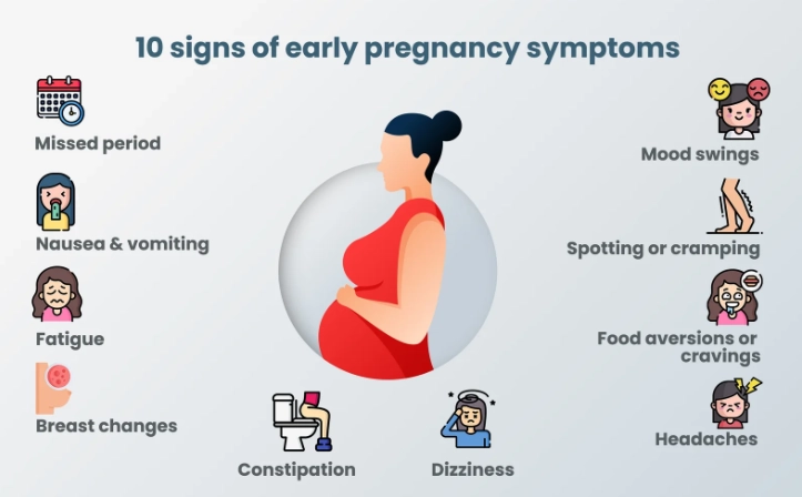 early pregnancy symptoms early pregnancy symptoms