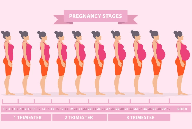 when do pregnancy symptoms start when do pregnancy symptoms start