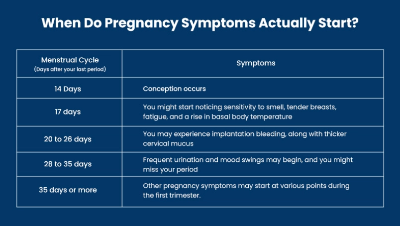 first signs of pregnancy first signs of pregnancy