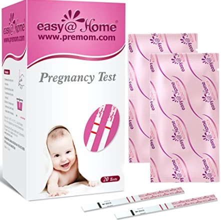 hCG levels pregnancy test