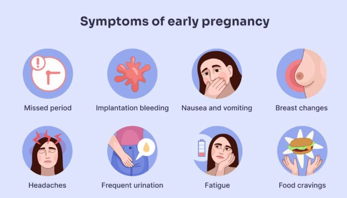 early pregnancy symptoms early pregnancy symptoms