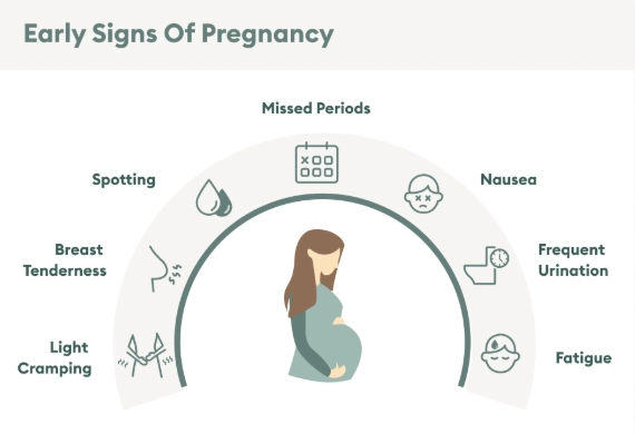 when do pregnancy symptoms start when do pregnancy symptoms start