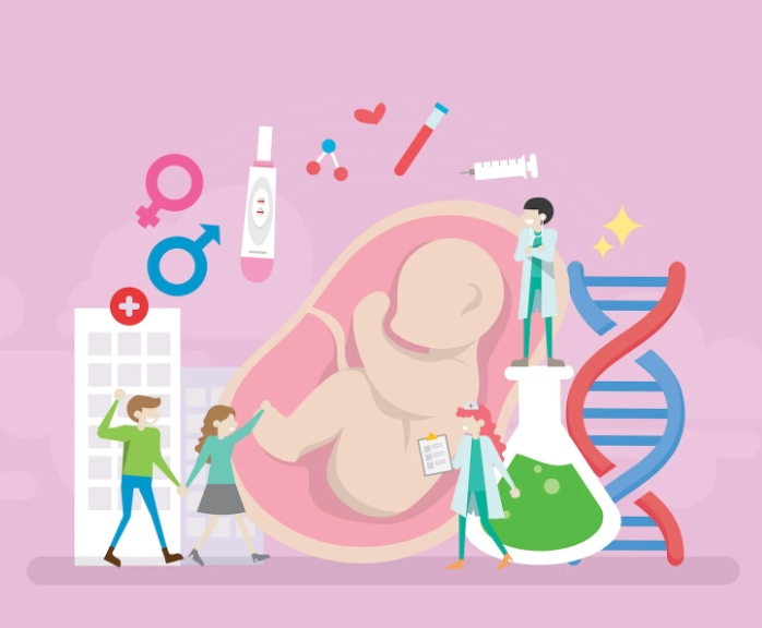 early pregnancy development