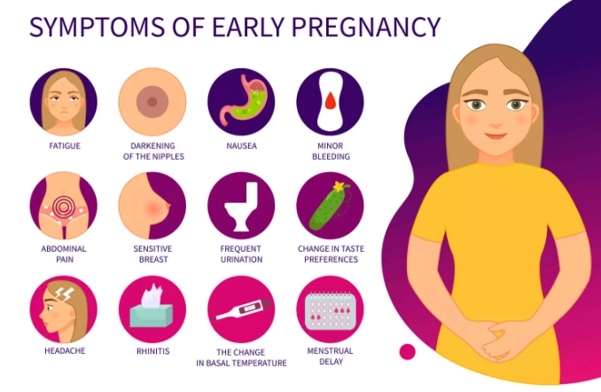 early pregnancy symptoms early pregnancy symptoms
