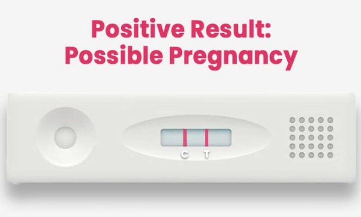 1 line vs 2 line pregnancy test