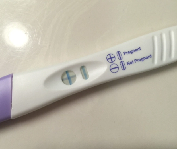 early signs of pregnancy