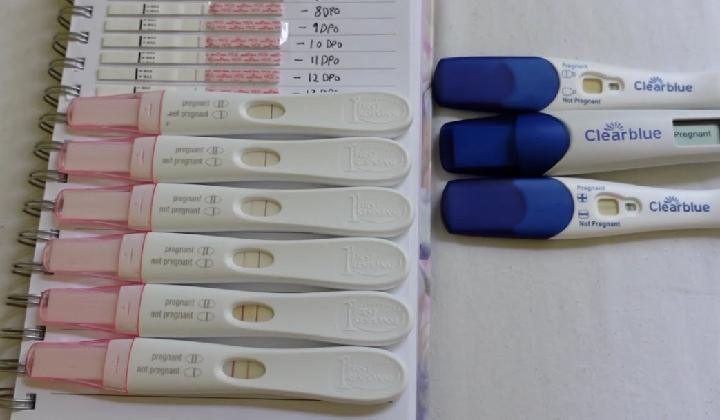 how to read a pregnancy test