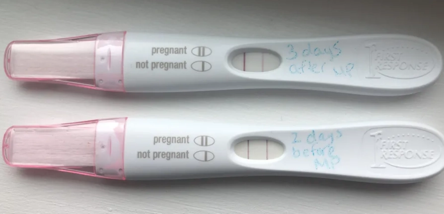 pregnancy test lines C and T