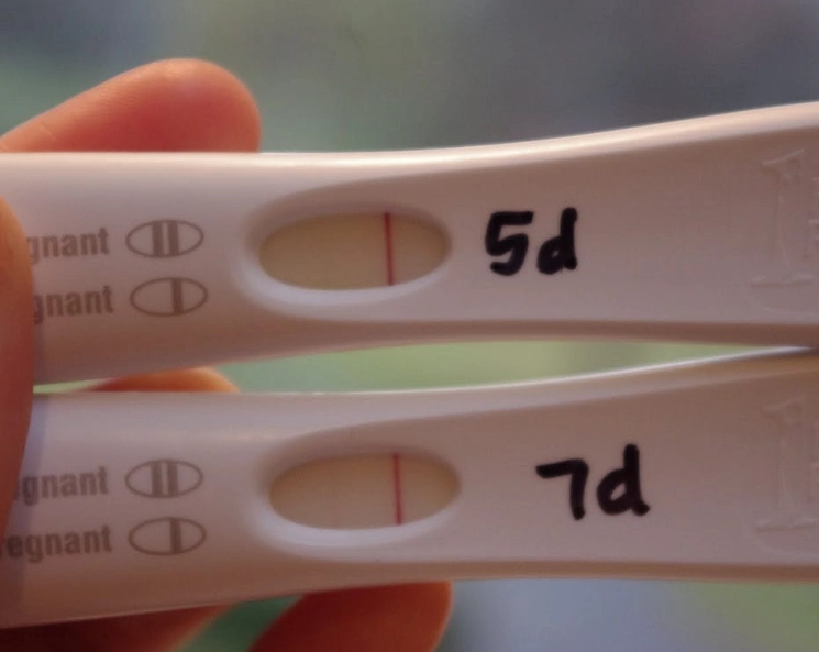 how early can a pregnancy test detect