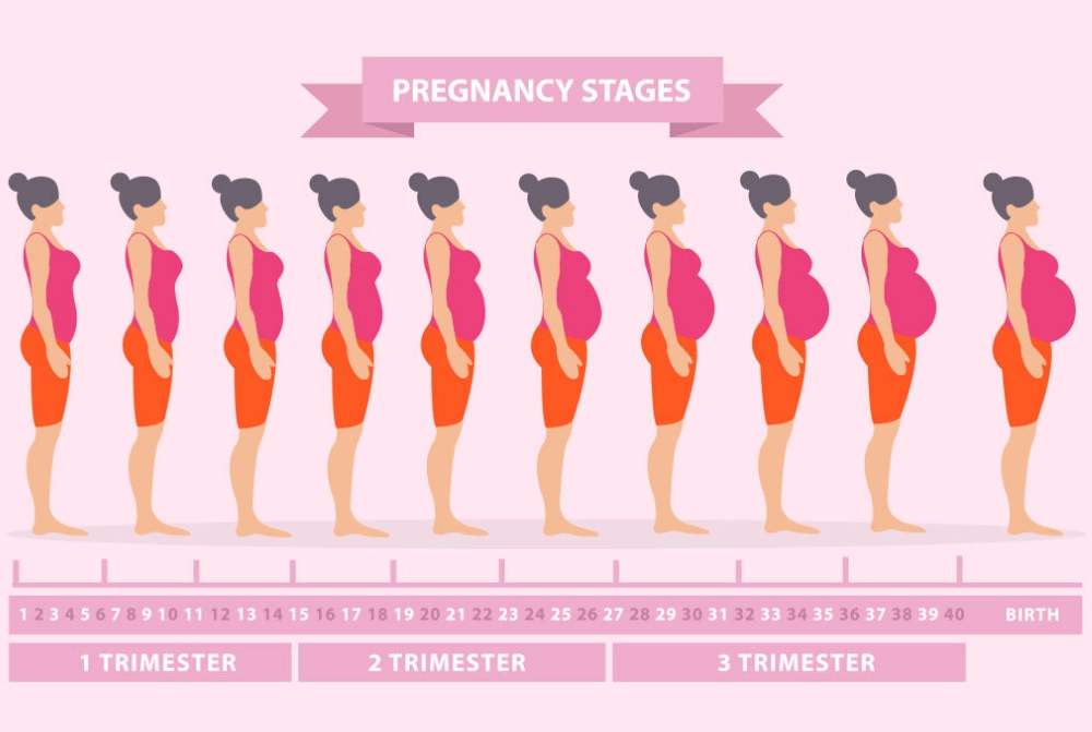 early signs of pregnancy