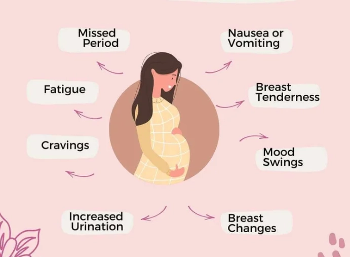 first signs of pregnancy after conception