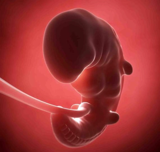 one month pregnant belly