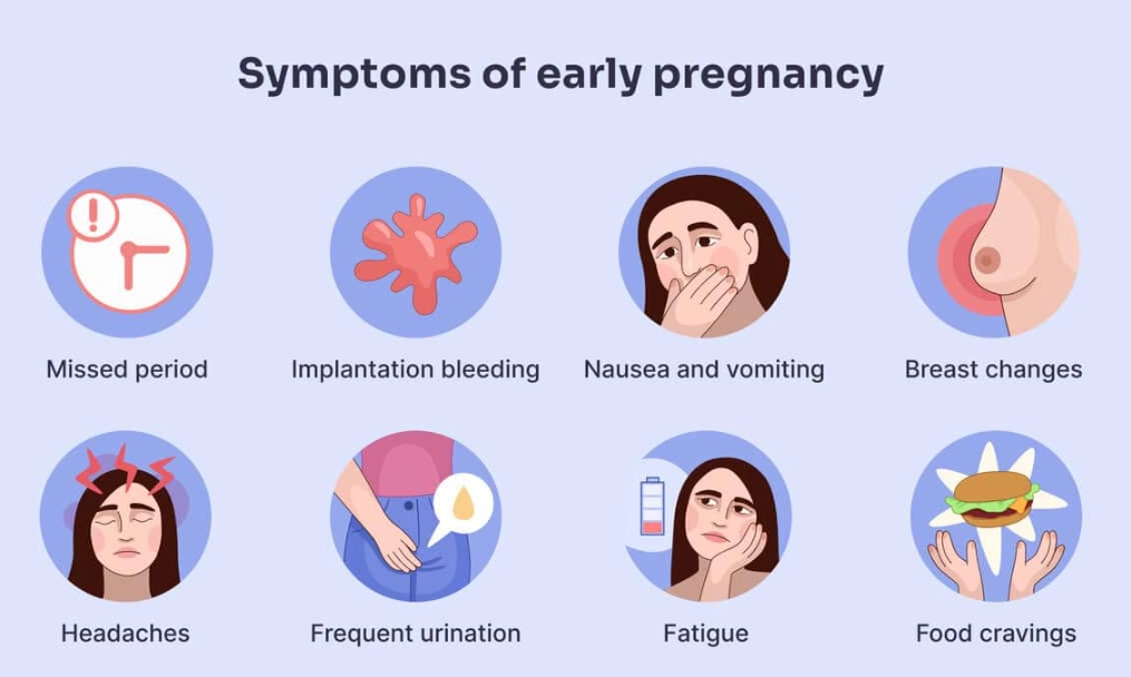 first 72 hours of pregnancy symptoms