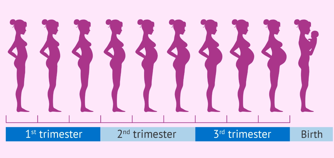 first month pregnancy signs