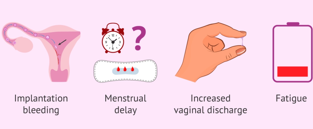 First 72 hours of pregnancy symptoms discharge