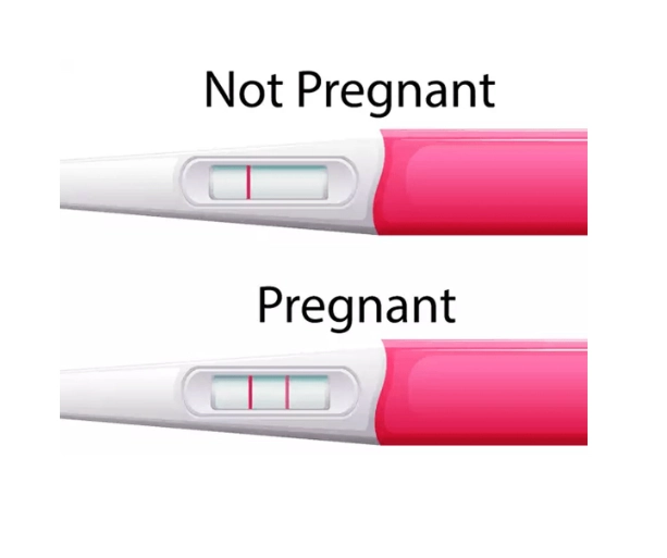 pregnancy test kit accuracy