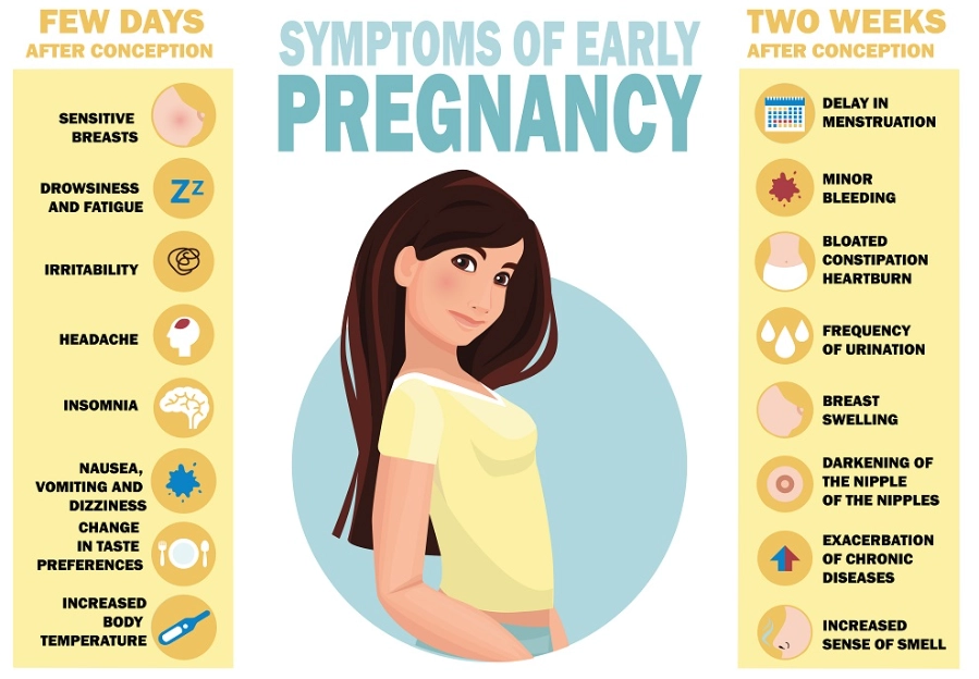 How soon do symptoms start if you're pregnant?