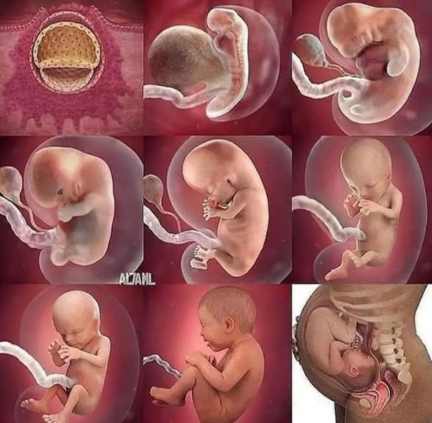 can you feel pregnant after 1 week