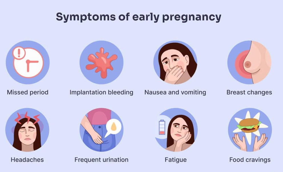 Pregnancy symptoms first 3 days