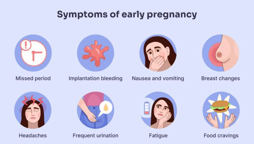 early pregnancy symptoms timeline
