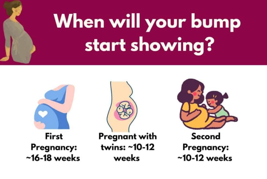 pregnancy symptoms timeline