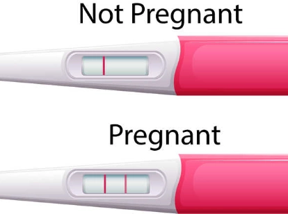 how to use pregnancy test