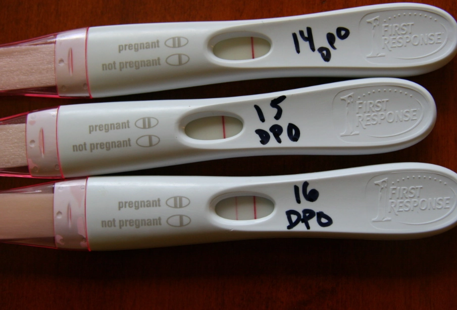 1 pregnancy test