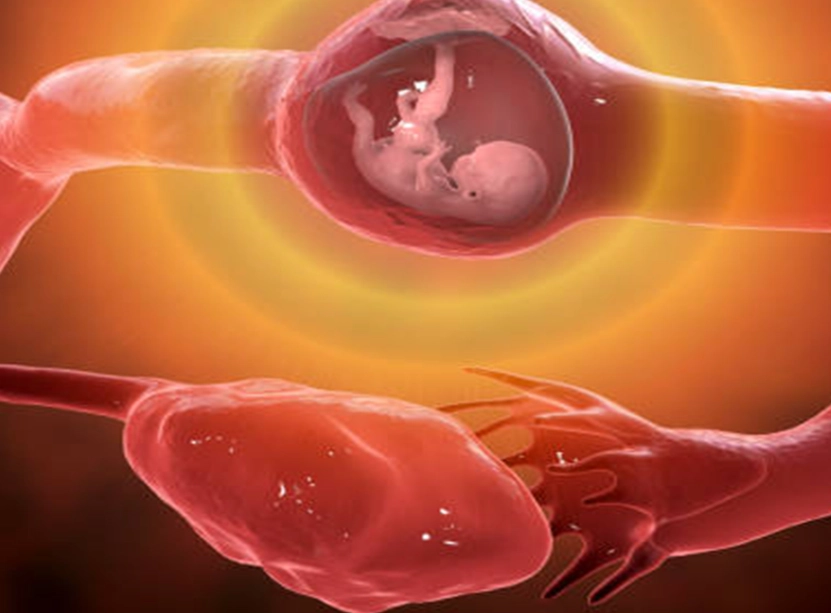 when do pregnancy symptoms start when do pregnancy symptoms start