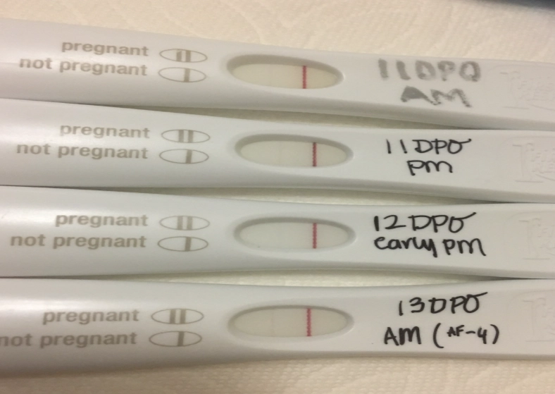 early pregnancy signs