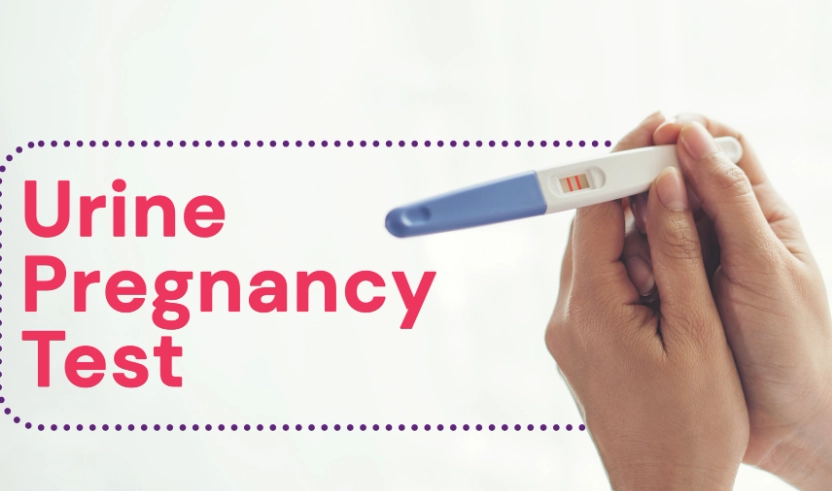 urine pregnancy test positive