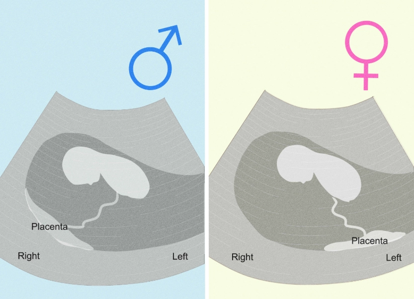 signs of pregnancy before missed period