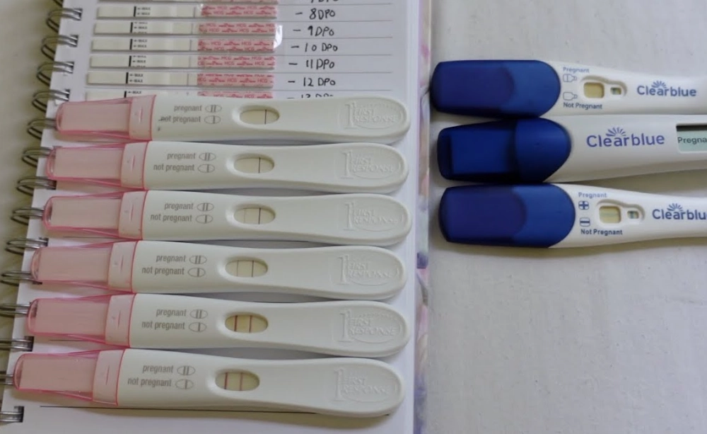 how soon can you take a pregnancy test