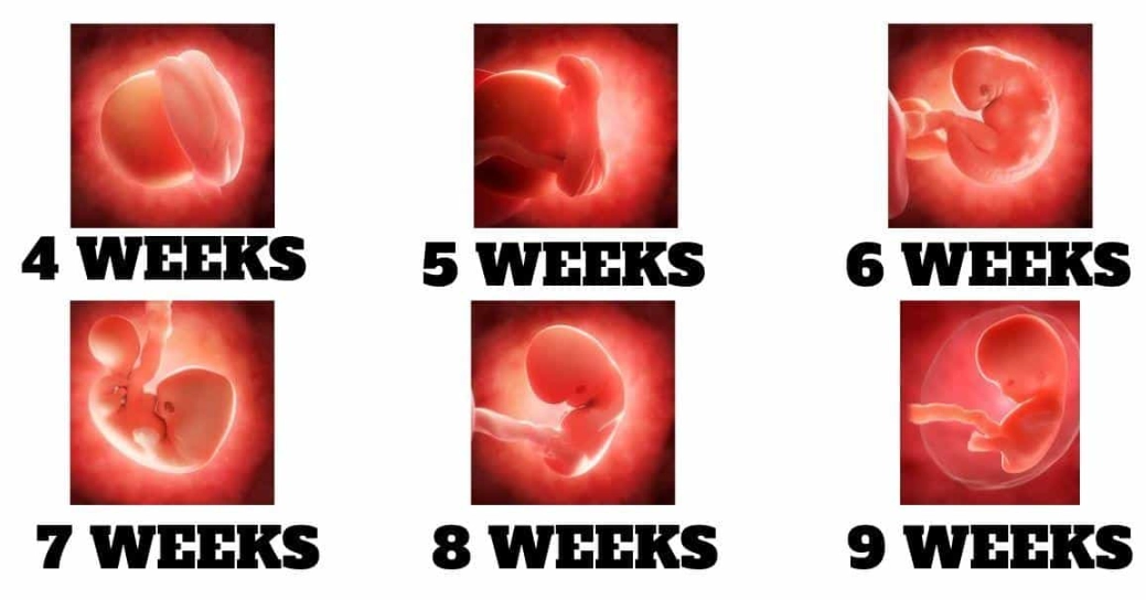 healthy pregnancy tips healthy pregnancy tips