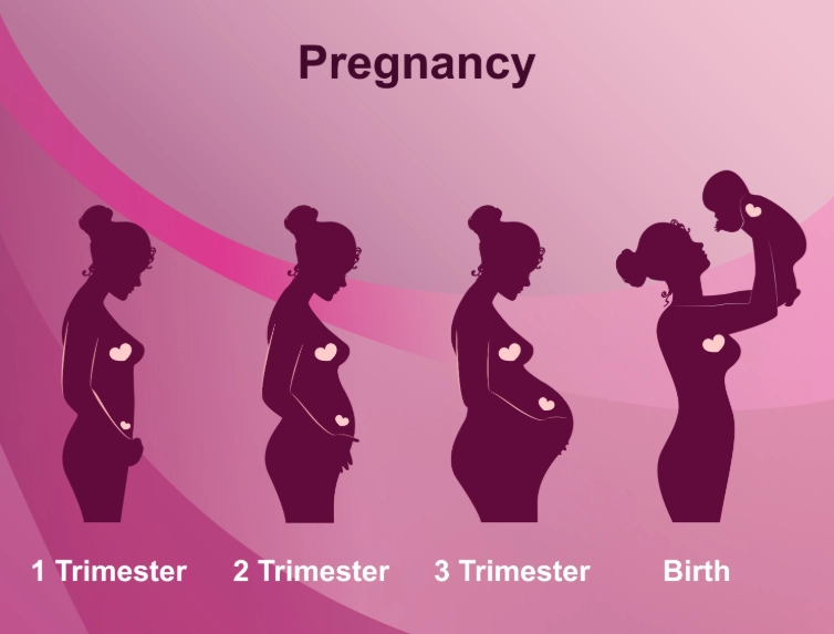 first trimester pregnancy symptoms