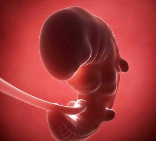 signs of pregnancy in the first month