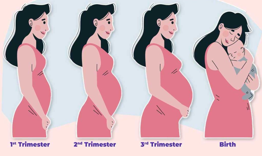 healthy pregnancy first trimester healthy pregnancy first trimester