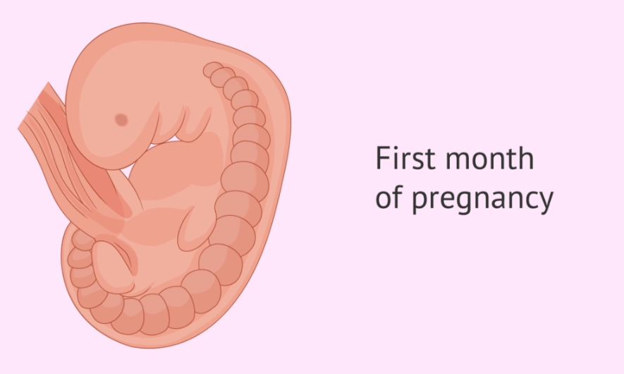 first month pregnancy symptoms