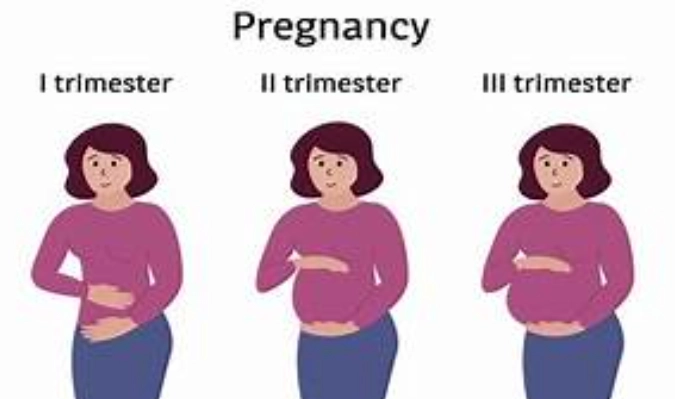 what to avoid when pregnant first trimester what to avoid when pregnant first trimester